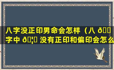 八字没正印男命会怎样（八 🐠 字中 🦉 没有正印和偏印会怎么样）